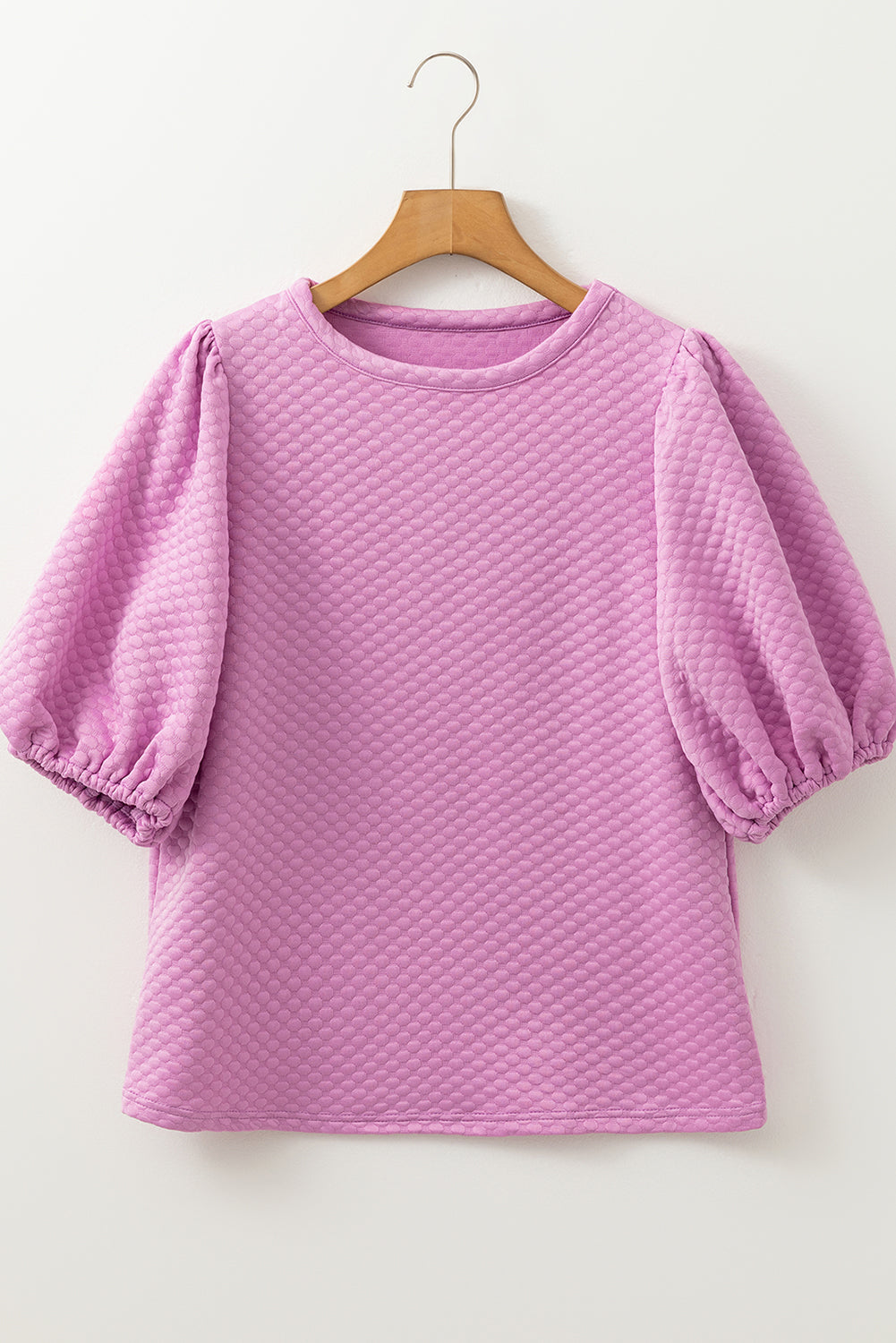 Phalaenopsis Solid Textured O Neck Puff Sleeve Blouse eAura