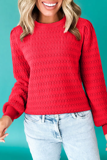 Pattern Knit Ribbed Cuffs Sweater - eAura