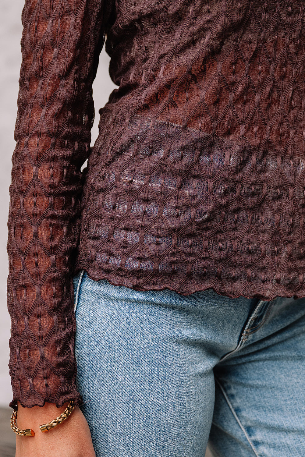 Sheer Mesh Patterned Long Sleeve Top eAura