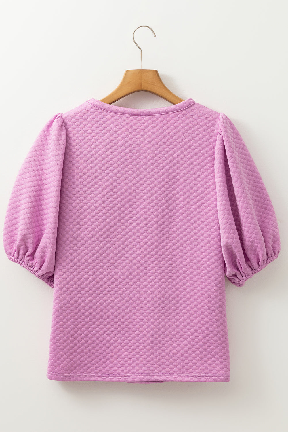 Phalaenopsis Solid Textured O Neck Puff Sleeve Blouse eAura