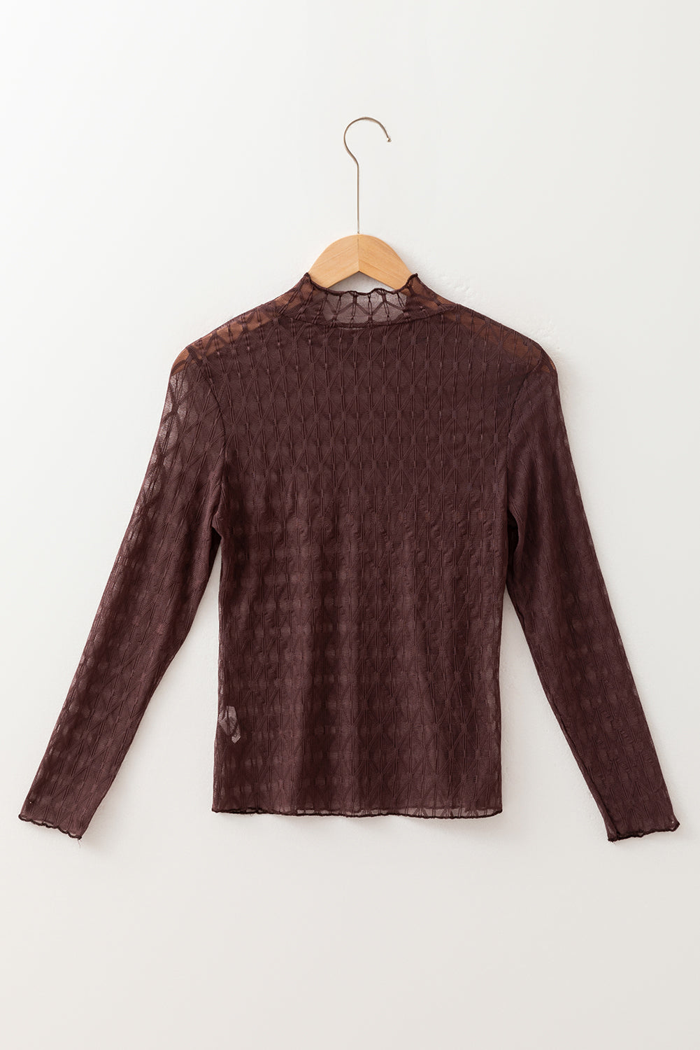Sheer Mesh Patterned Long Sleeve Top eAura