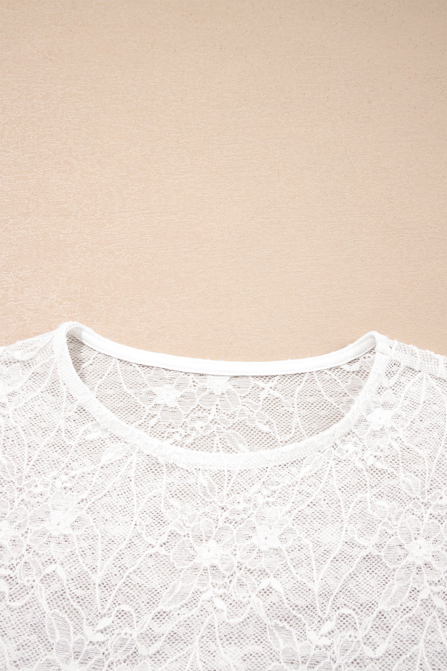 Long Sleeve Sheer Mesh Lace Top – Beige