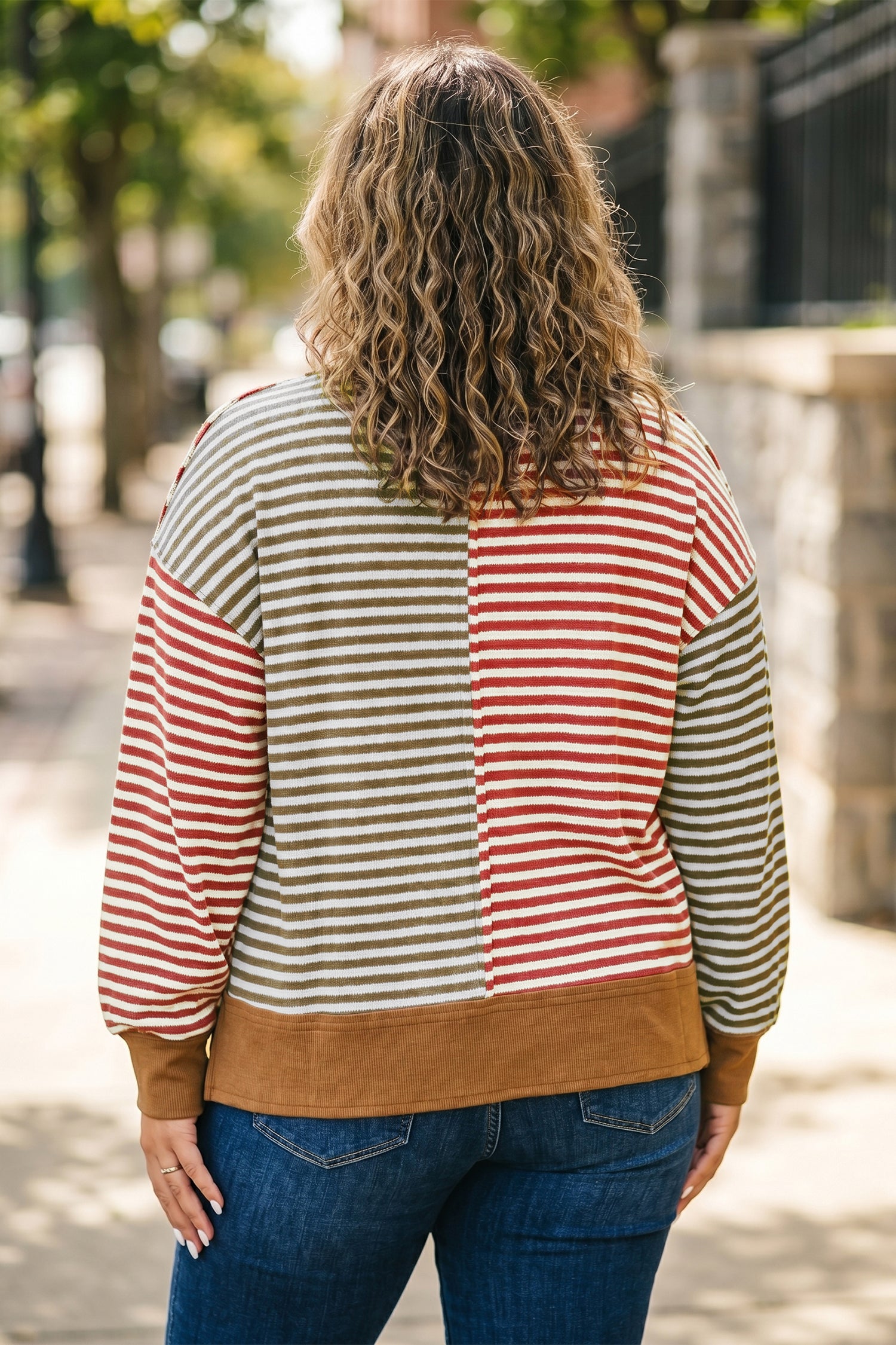 Striped Colorblock V Neck Oversized Long Sleeve Plus Size Blouse – Brown Stripe