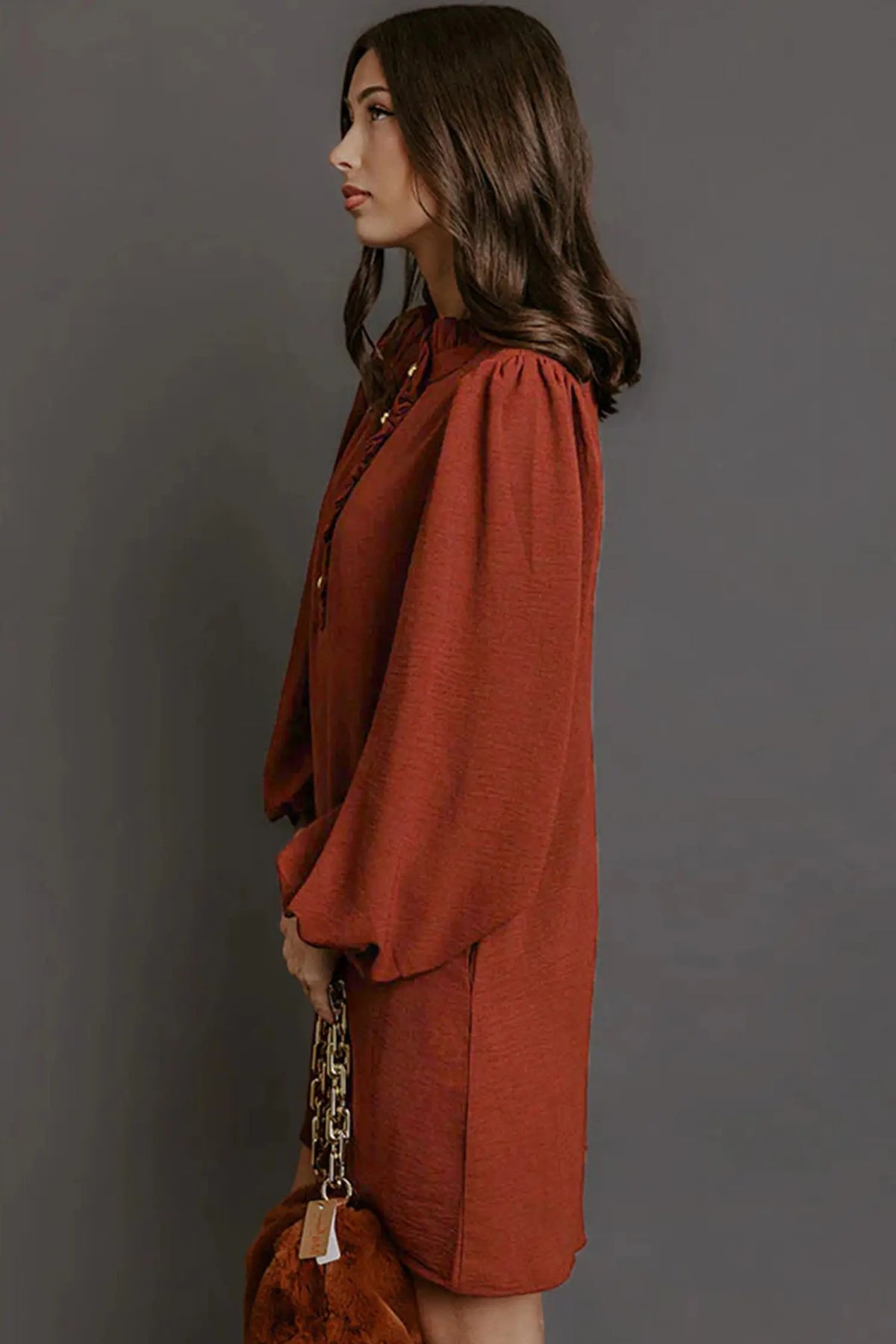 Coffee Solid Shift Long Sleeve Short Length One Piece Dress – Brown