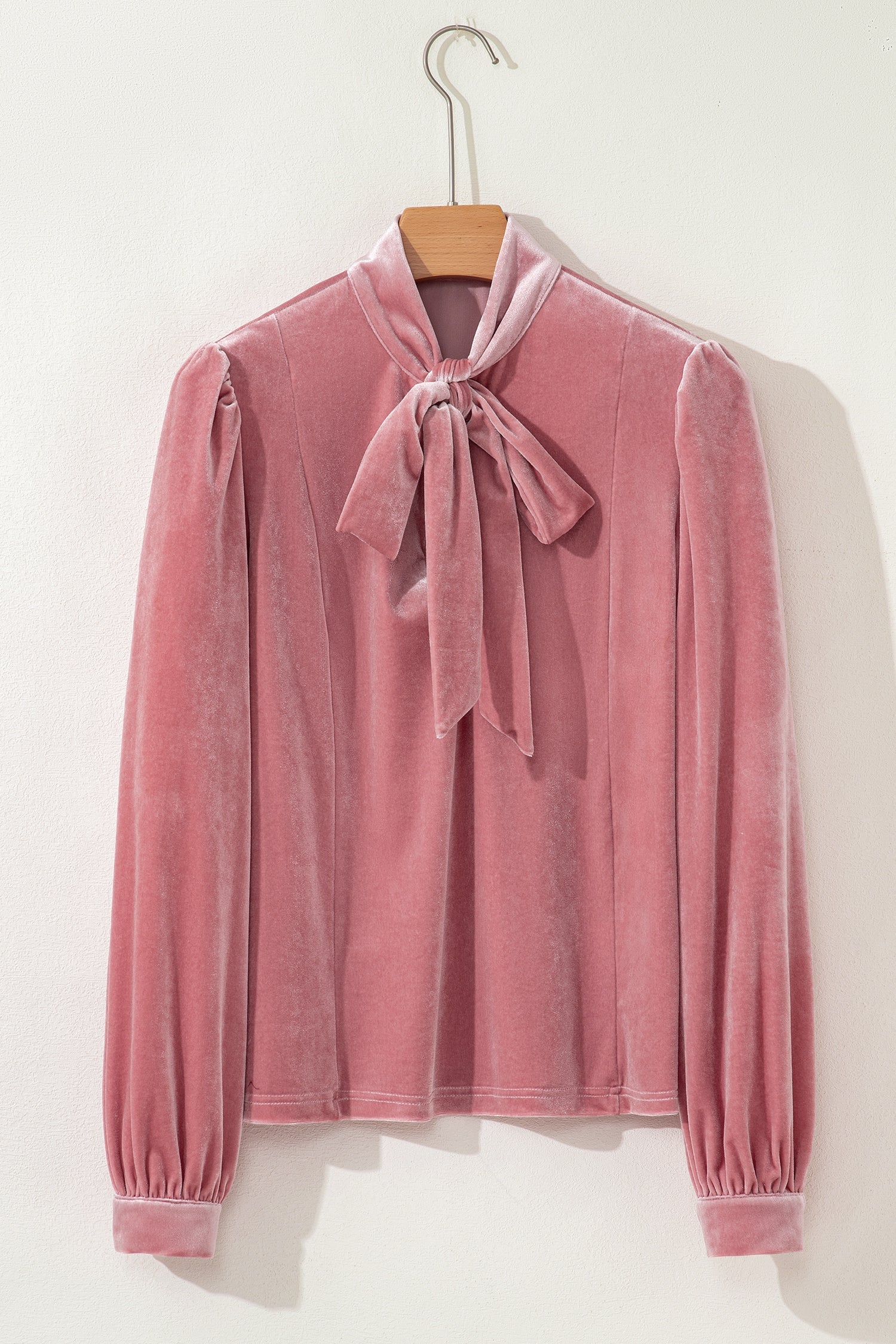 Velvet Ribbon Bow Knot Long Sleeve Blouse - eAura