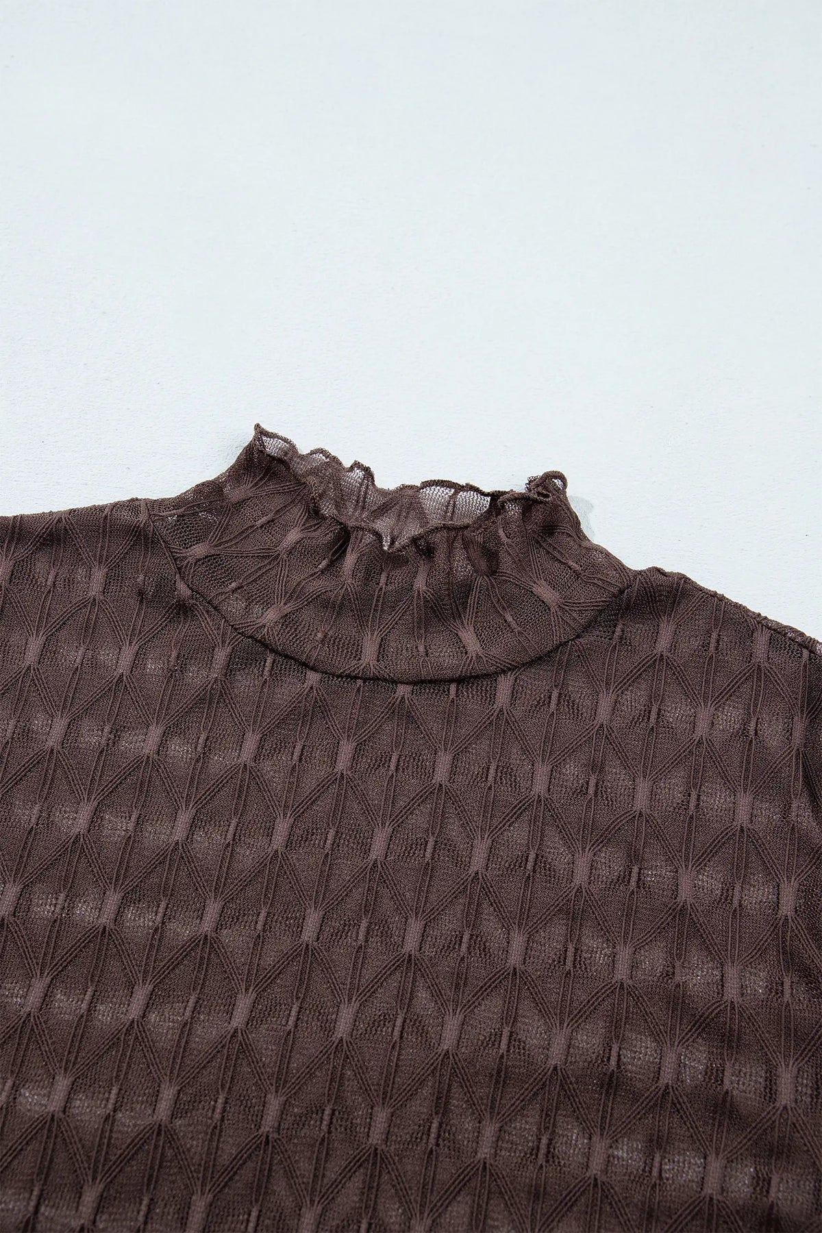 Sheer Textured Lace Stand Neck Long Sleeve Top – Chicory Coffee