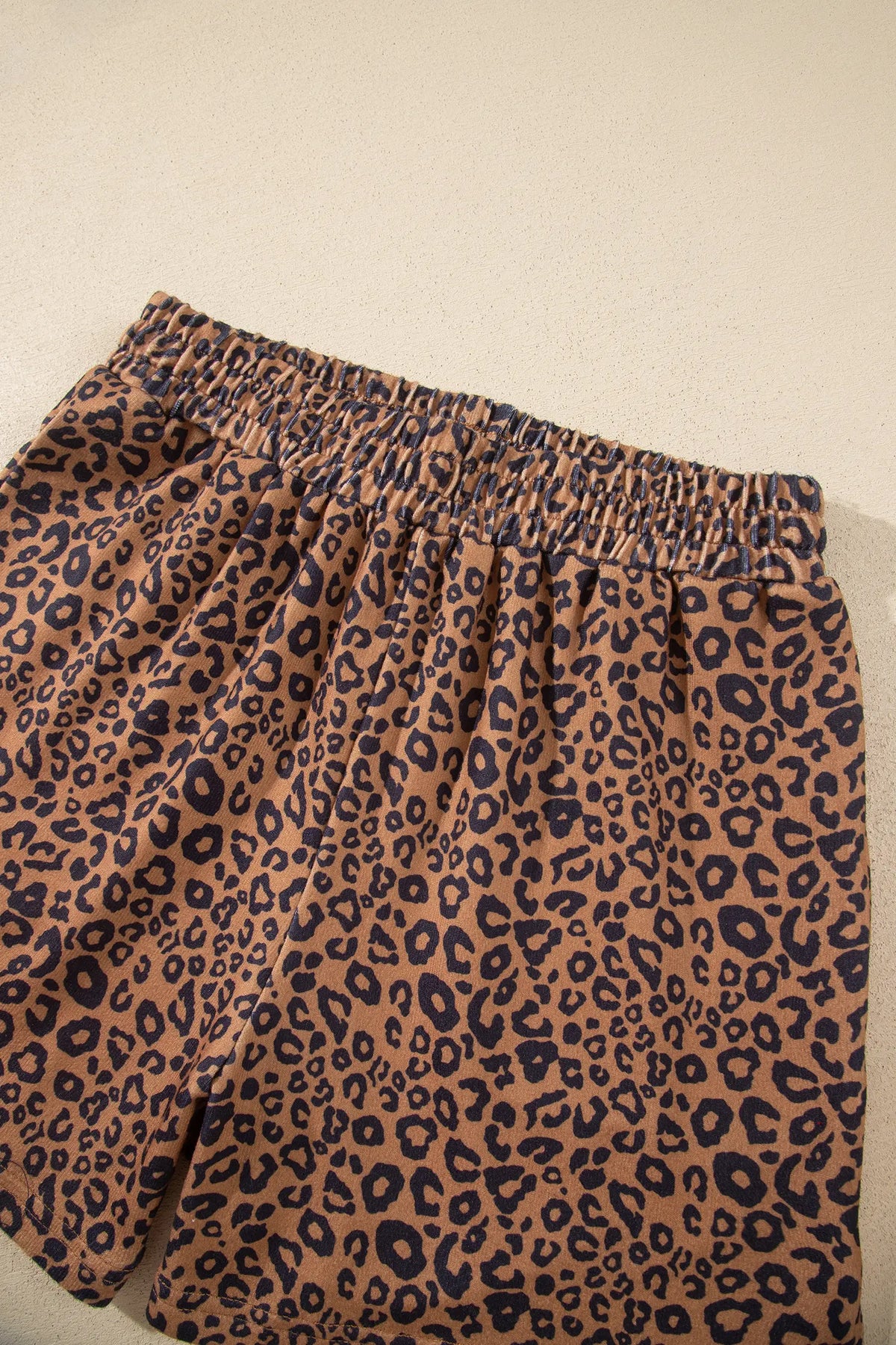 Leopard Print Long Sleeve Henley Top Elastic Waist Shorts 2pcs Outfit – Brown