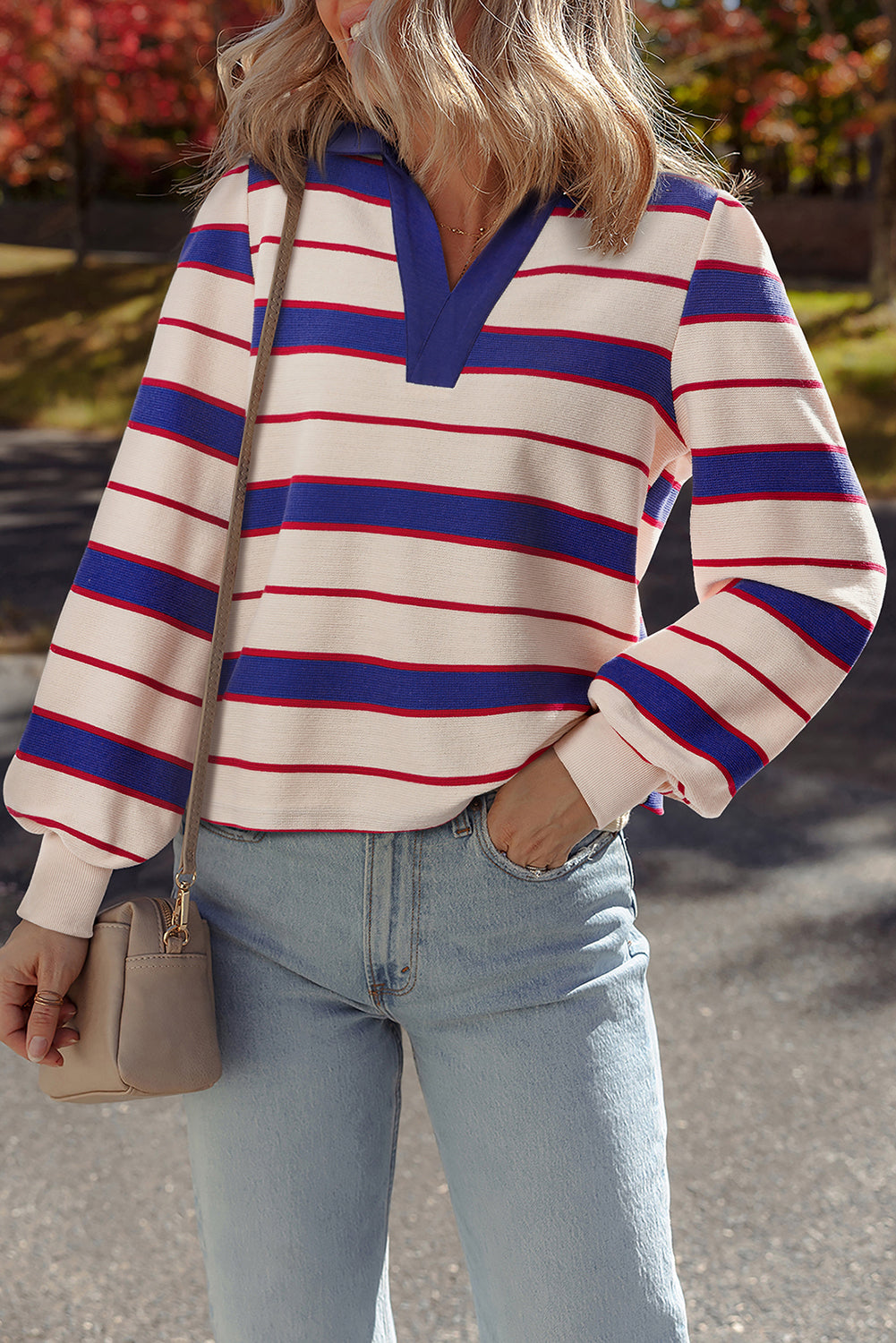 Blue Stripe Polo Pullover Sweatshirt - eAura