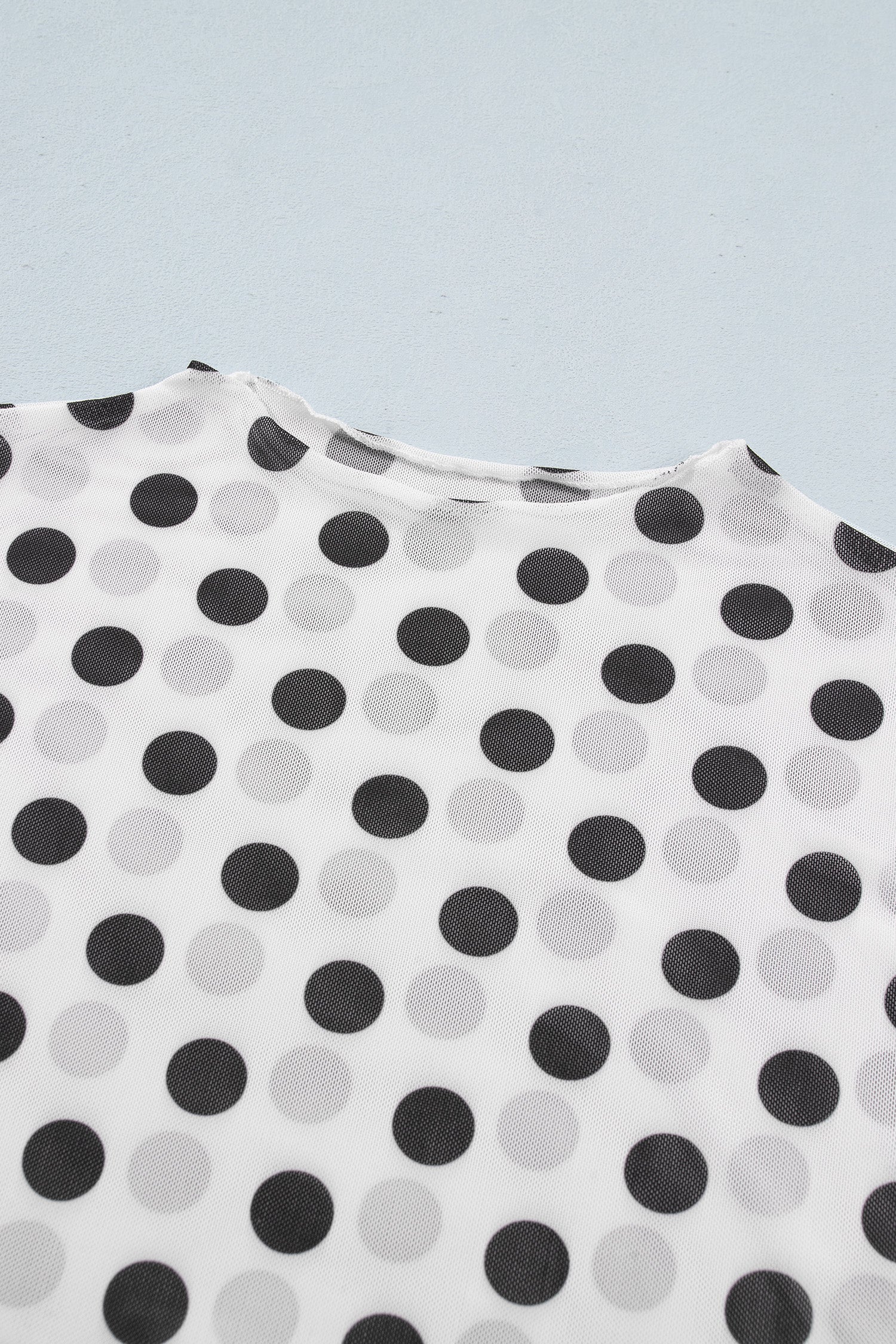 Polka Dot Mesh Long Sleeve Stand Neck Sheath Top – White