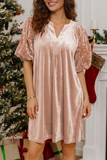 Embroidered Sleeve Velvet Mini Shift Dress – Light French Beige