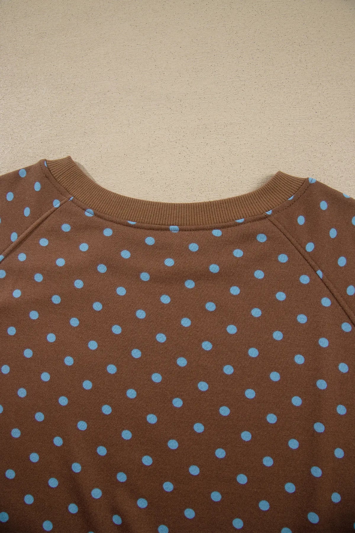 Polka Dot Round Neck Long Sleeve Plus Size Set – Brown