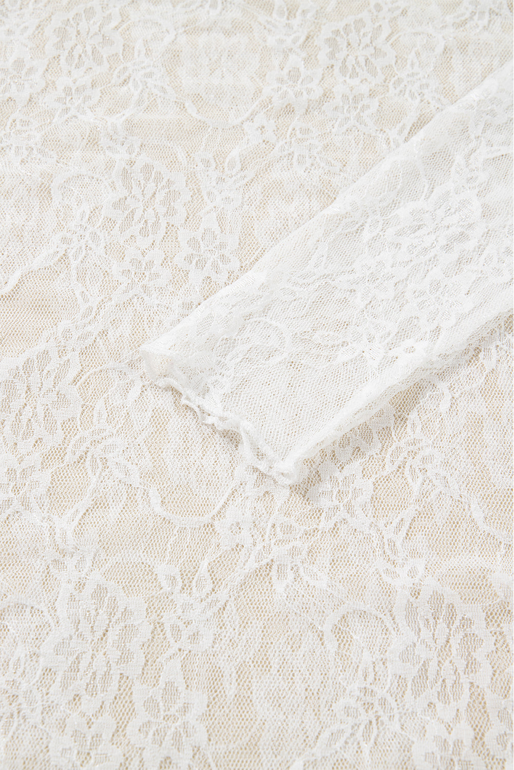 Sheer Lace Mesh Mock Neck Slim Fit Long Sleeve Top - eAura