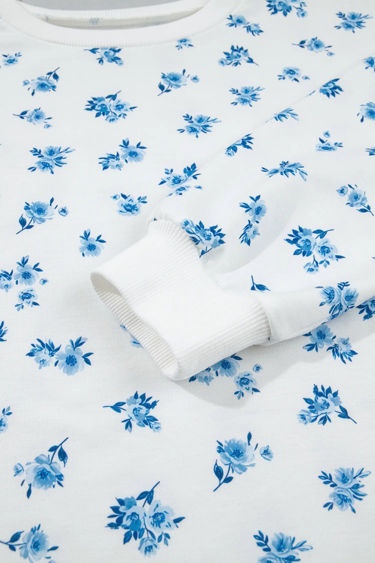 Floral Print Long Sleeve Top Elastic Waist Ruffle Hem Shorts 2pcs Set – Sky Blue