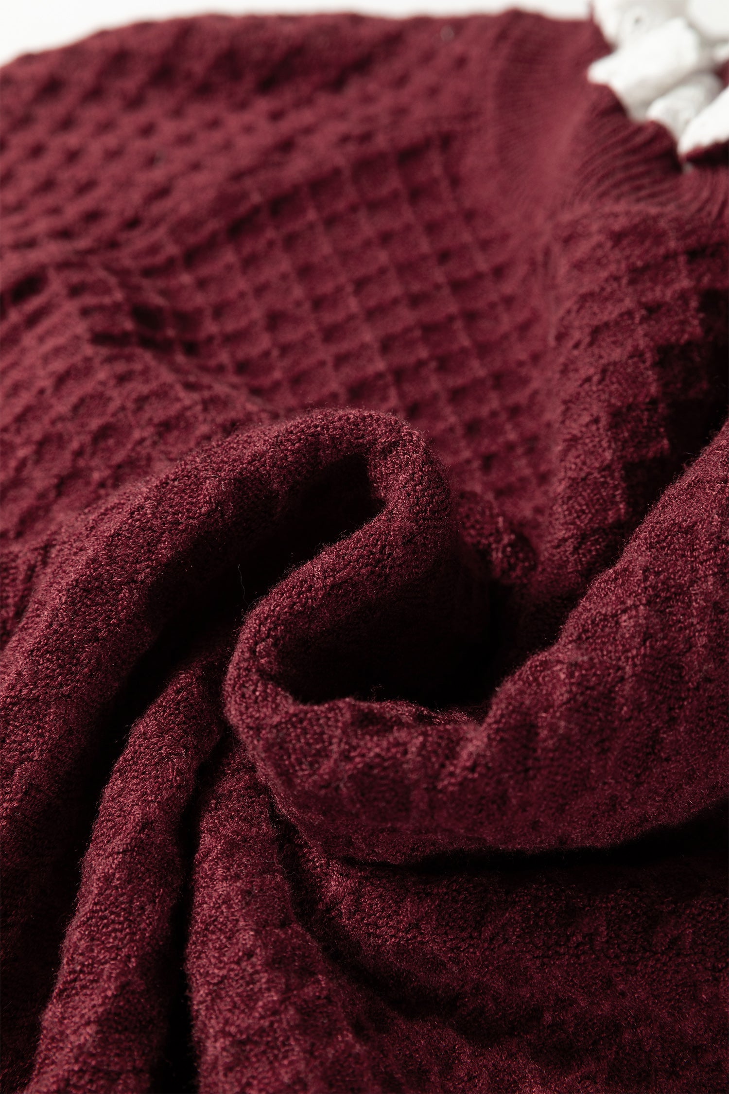 Contrast Lace Frilled Trim Raglan Sleeve Sweater - eAura