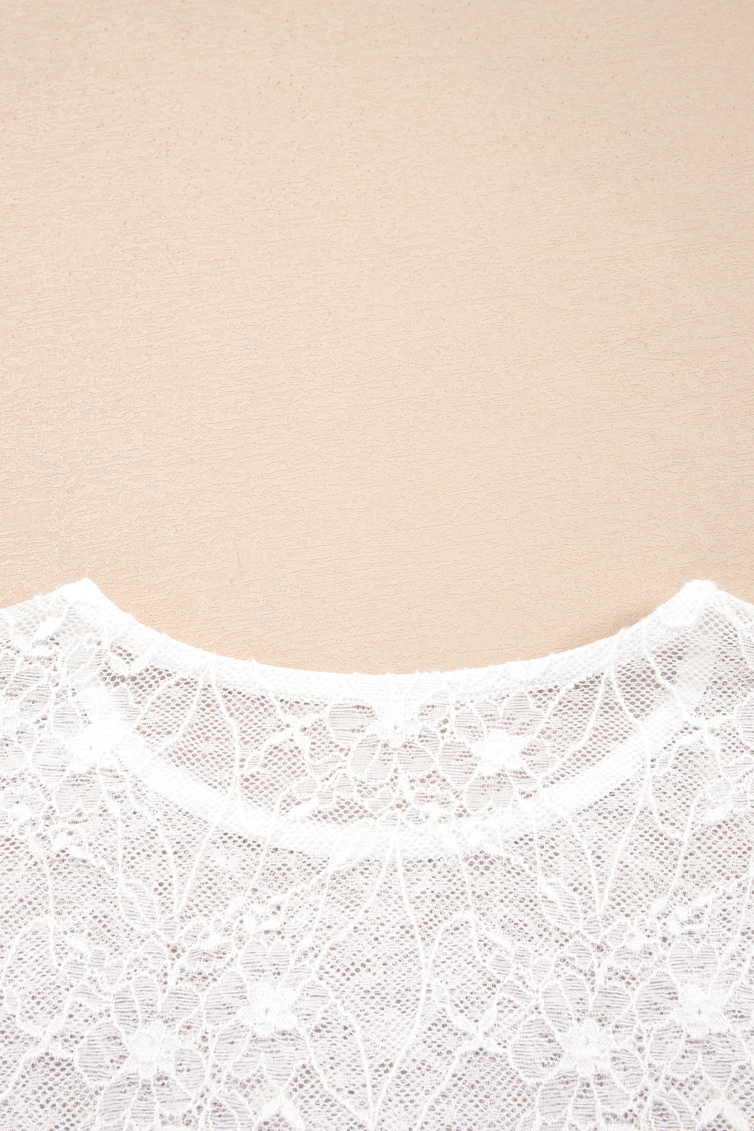 Long Sleeve Sheer Mesh Lace Top – Beige