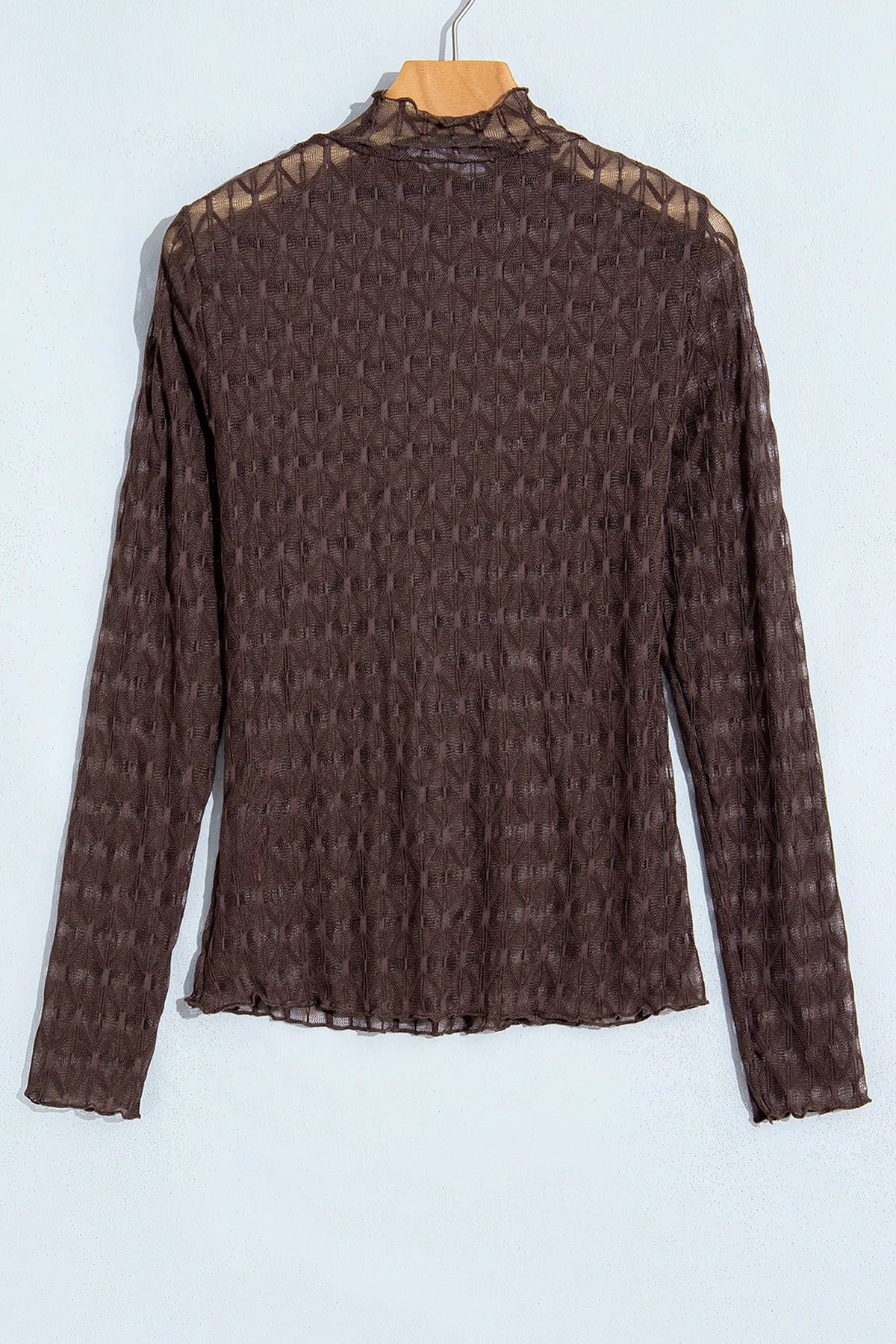 Sheer Textured Lace Stand Neck Long Sleeve Top – Chicory Coffee