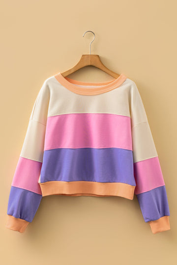 Colour Block Drop Shoulder Cropped Sweatshirt - Tops/Sweatshirts & Hoodies