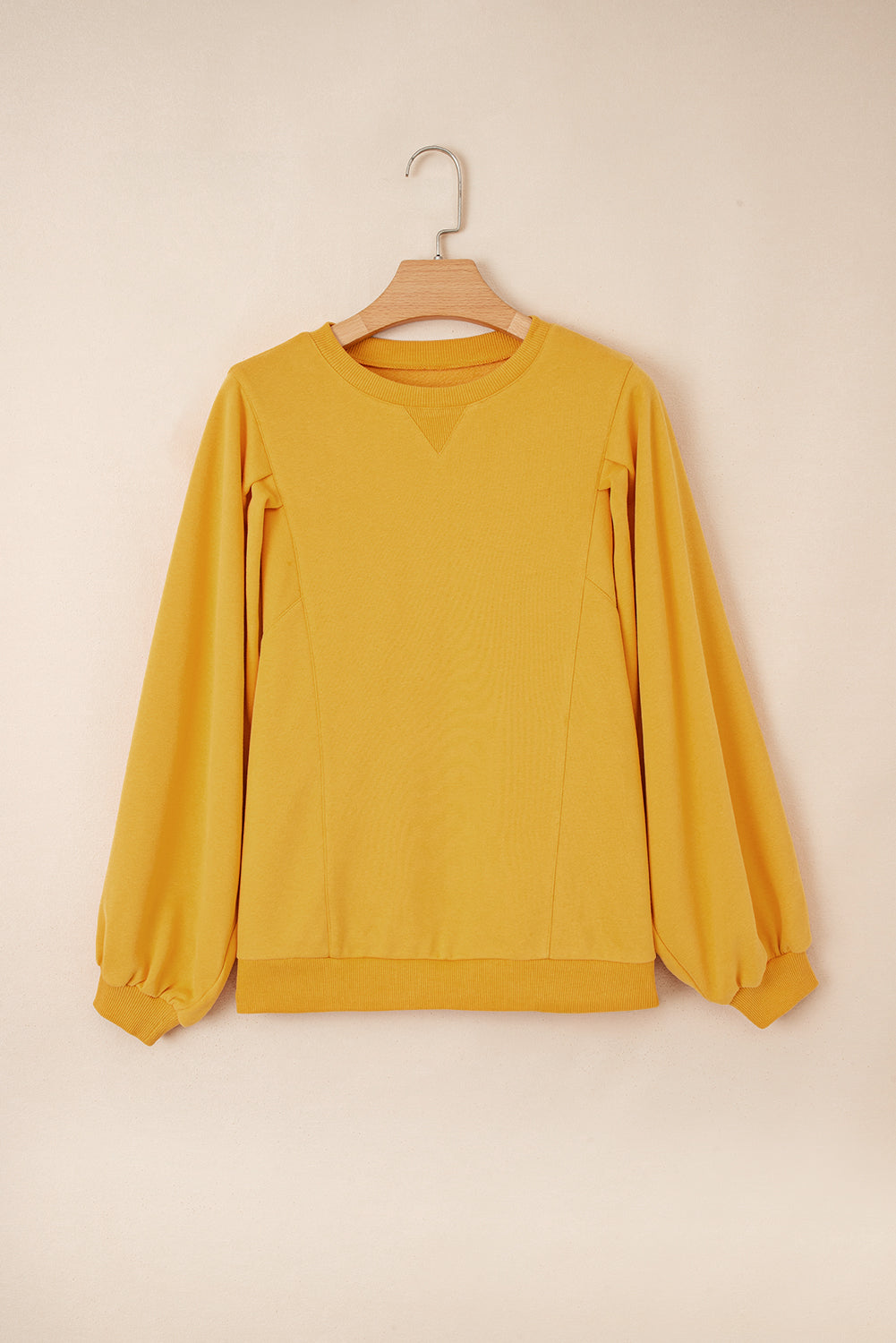 Pleated Balloon Sleeve Pullover Solid Sweatshirt - Tops/Sweatshirts & Hoodies