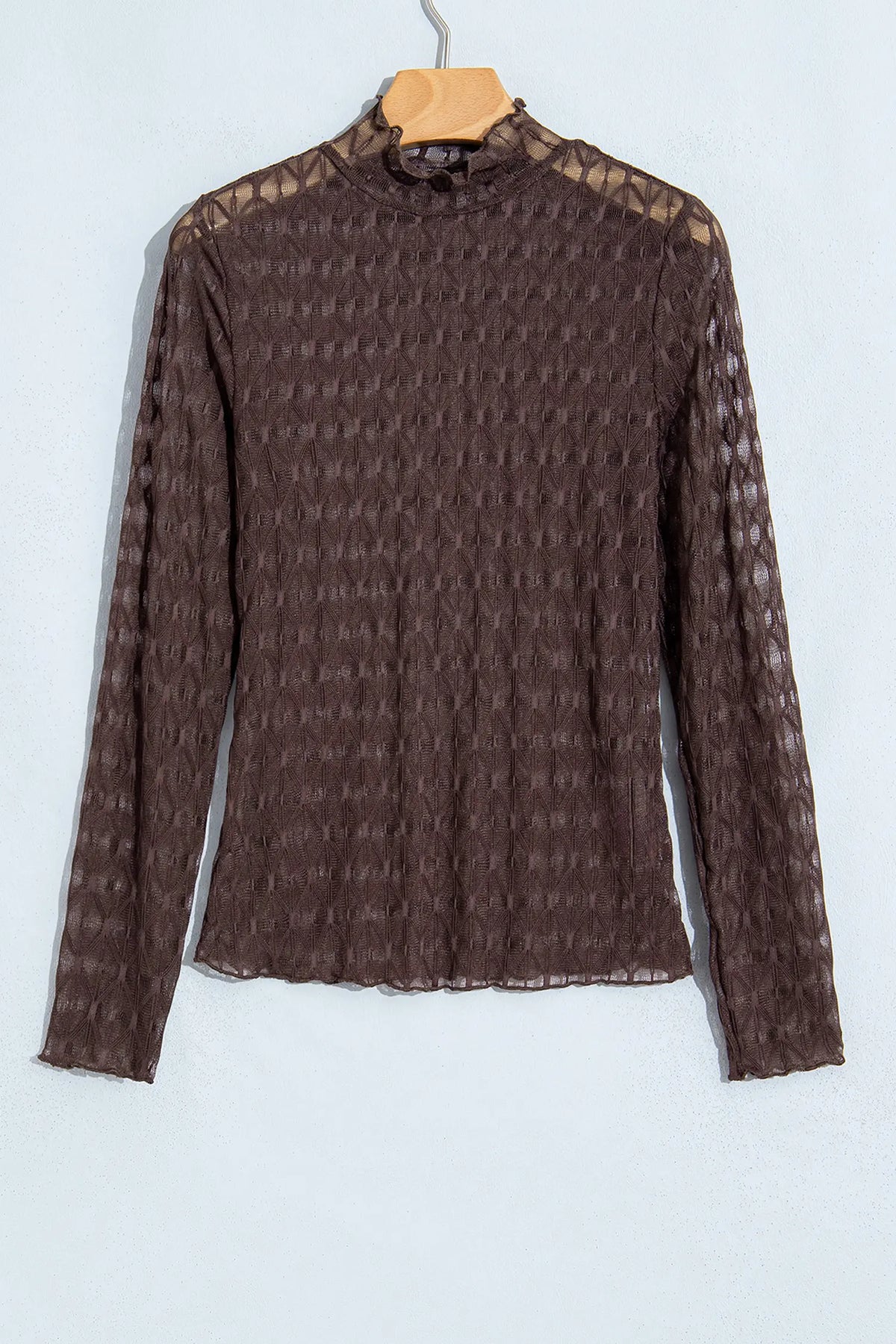 Sheer Textured Lace Stand Neck Long Sleeve Top – Chicory Coffee