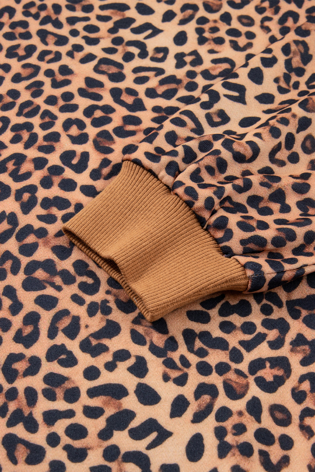 Leopard Pullover and Pants Co-ord Outfit with Bow Embroidery - eAura