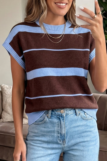 Striped Short Sleeve Round Neck Casual Knit Top – Sky Blue Stripe