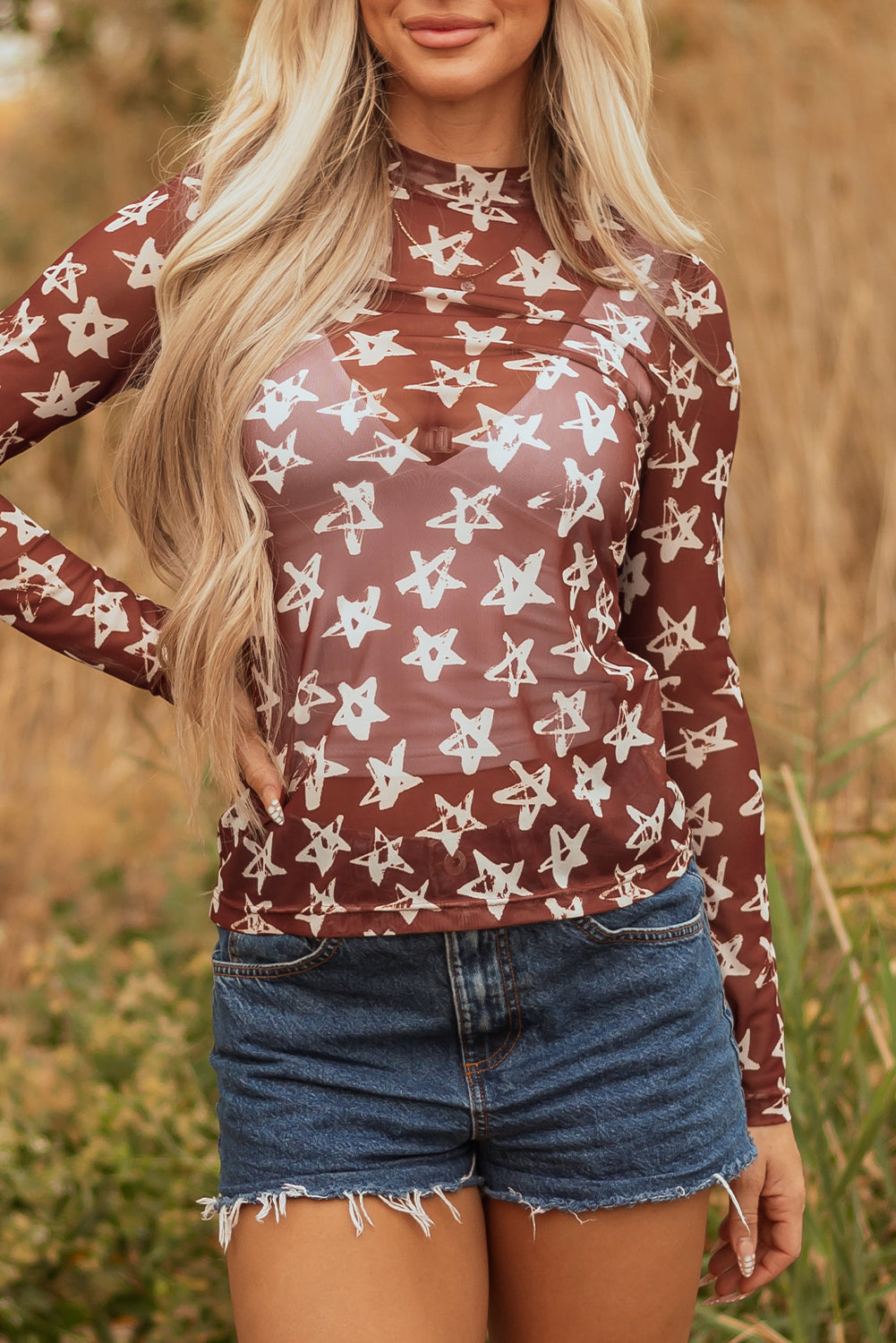 Mesh Star Print Mock Neck Sheath Long Sleeve Top eAura