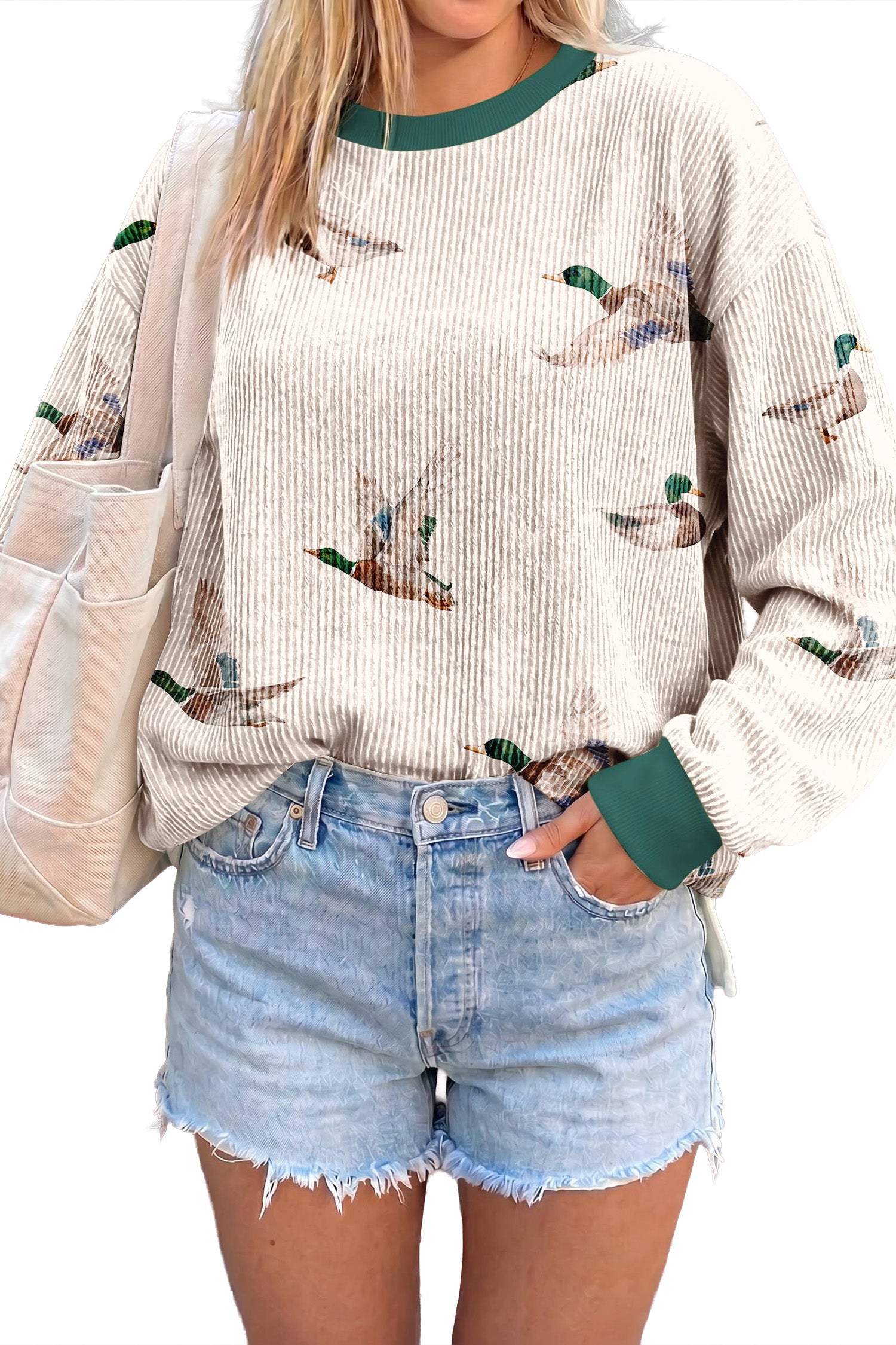 Twisted Ribbed Duck Print Crewneck Casual Pullover Top – Beige