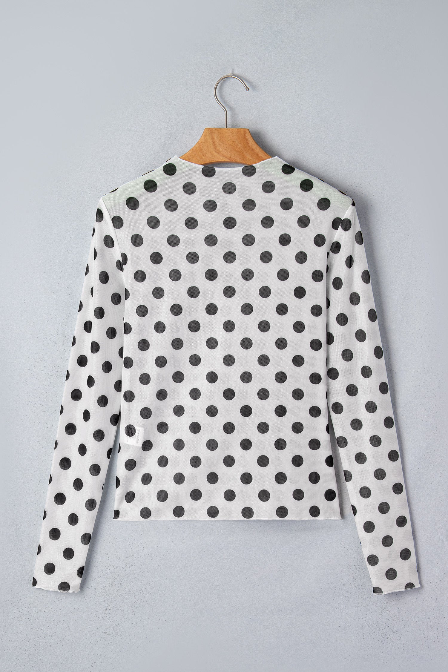 Polka Dot Mesh Long Sleeve Stand Neck Sheath Top – White