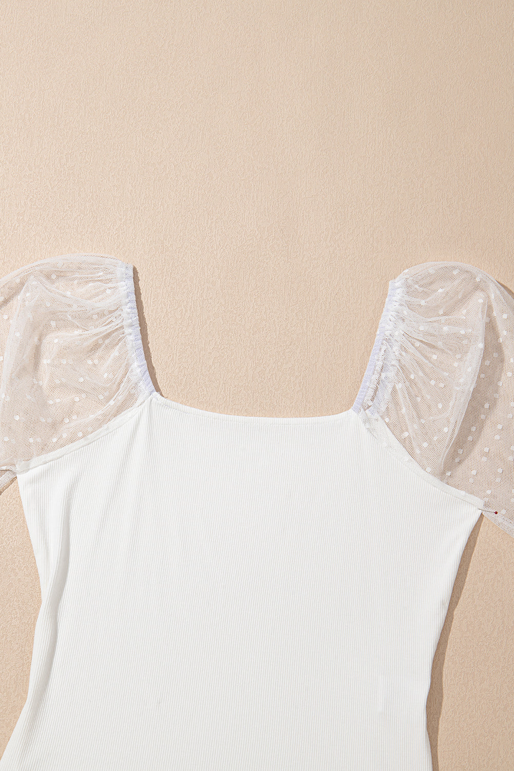 White Swiss Dot Mesh Long Sleeve Square Neck Slim Top eAura