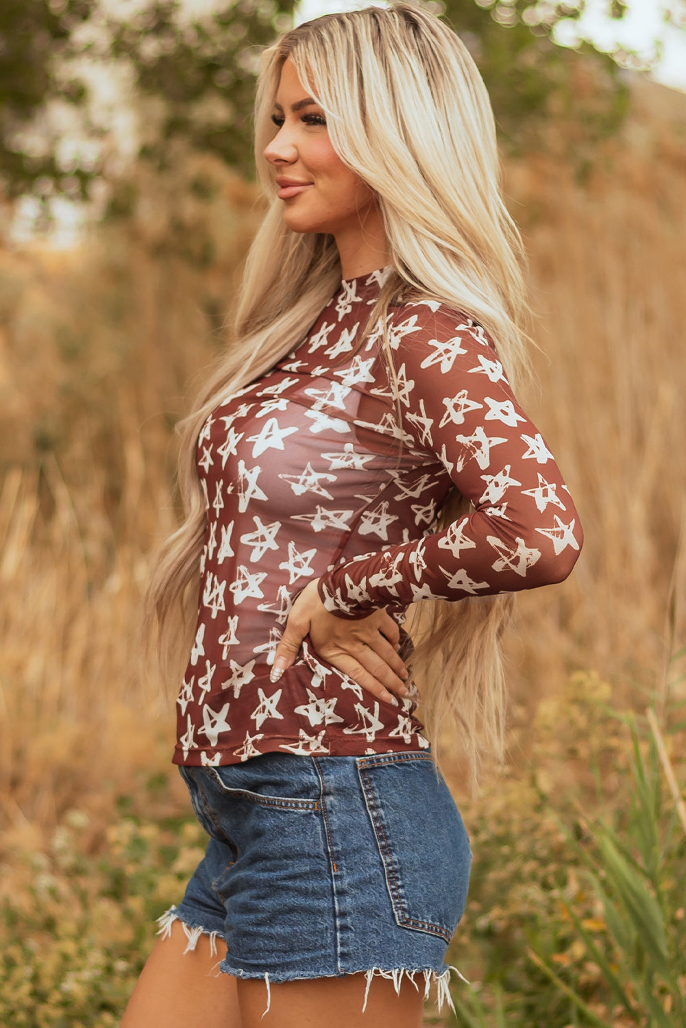 Mesh Star Print Mock Neck Sheath Long Sleeve Top eAura