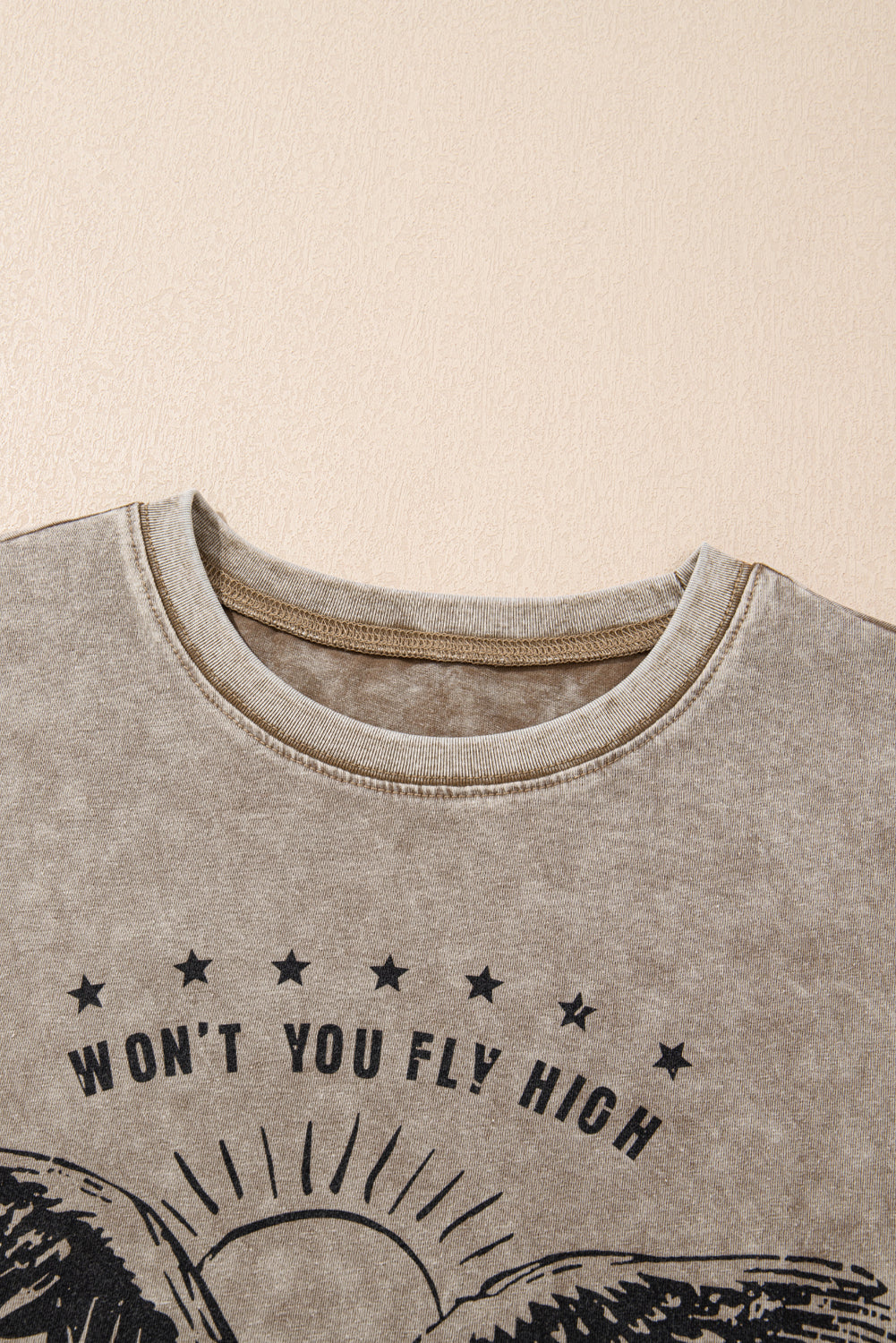 AMERICA FREE BIRD Vintage Graphic Mineral Washed Tee eAura