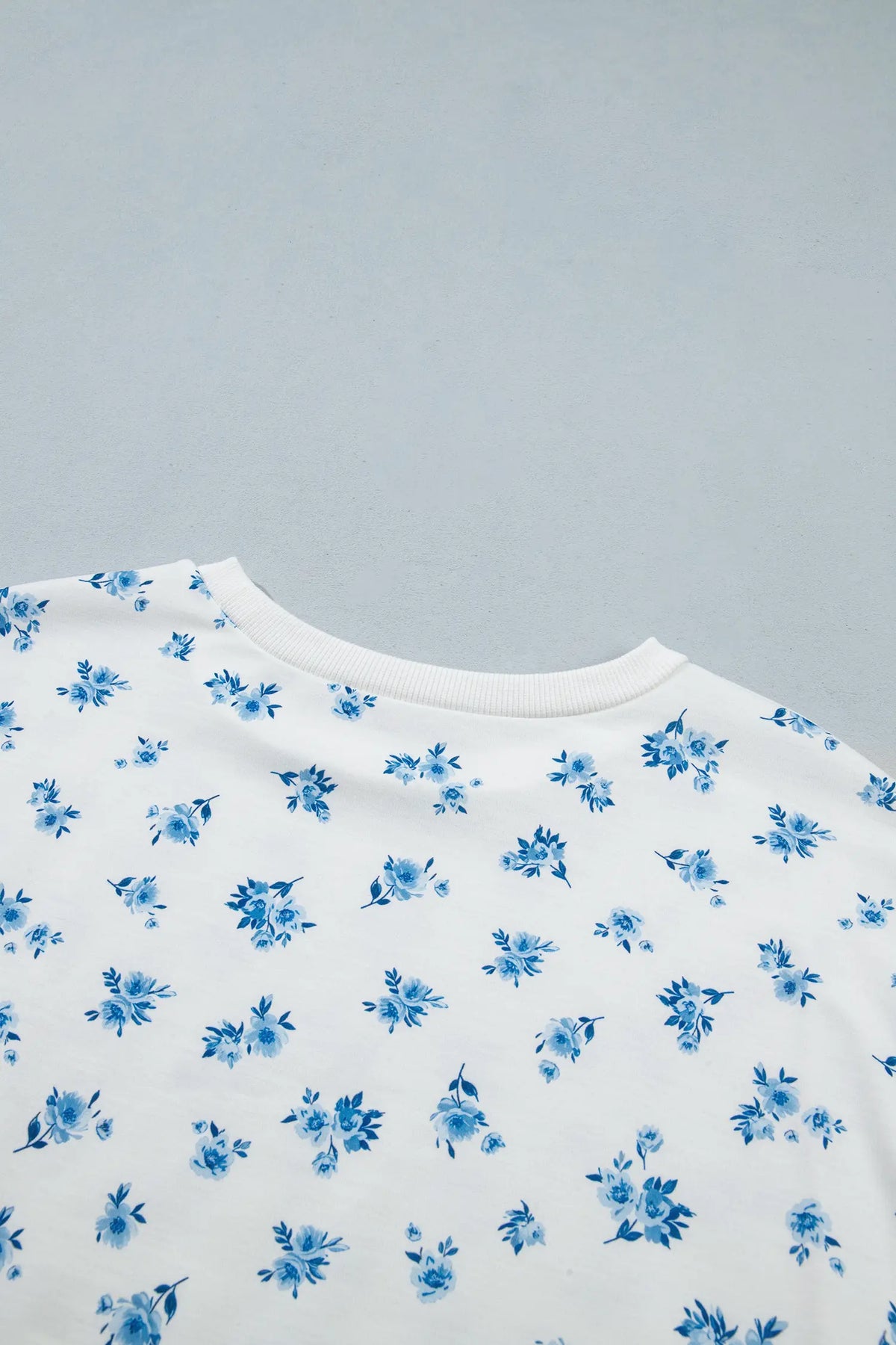 Floral Print Long Sleeve Top Elastic Waist Ruffle Hem Shorts 2pcs Set – Sky Blue