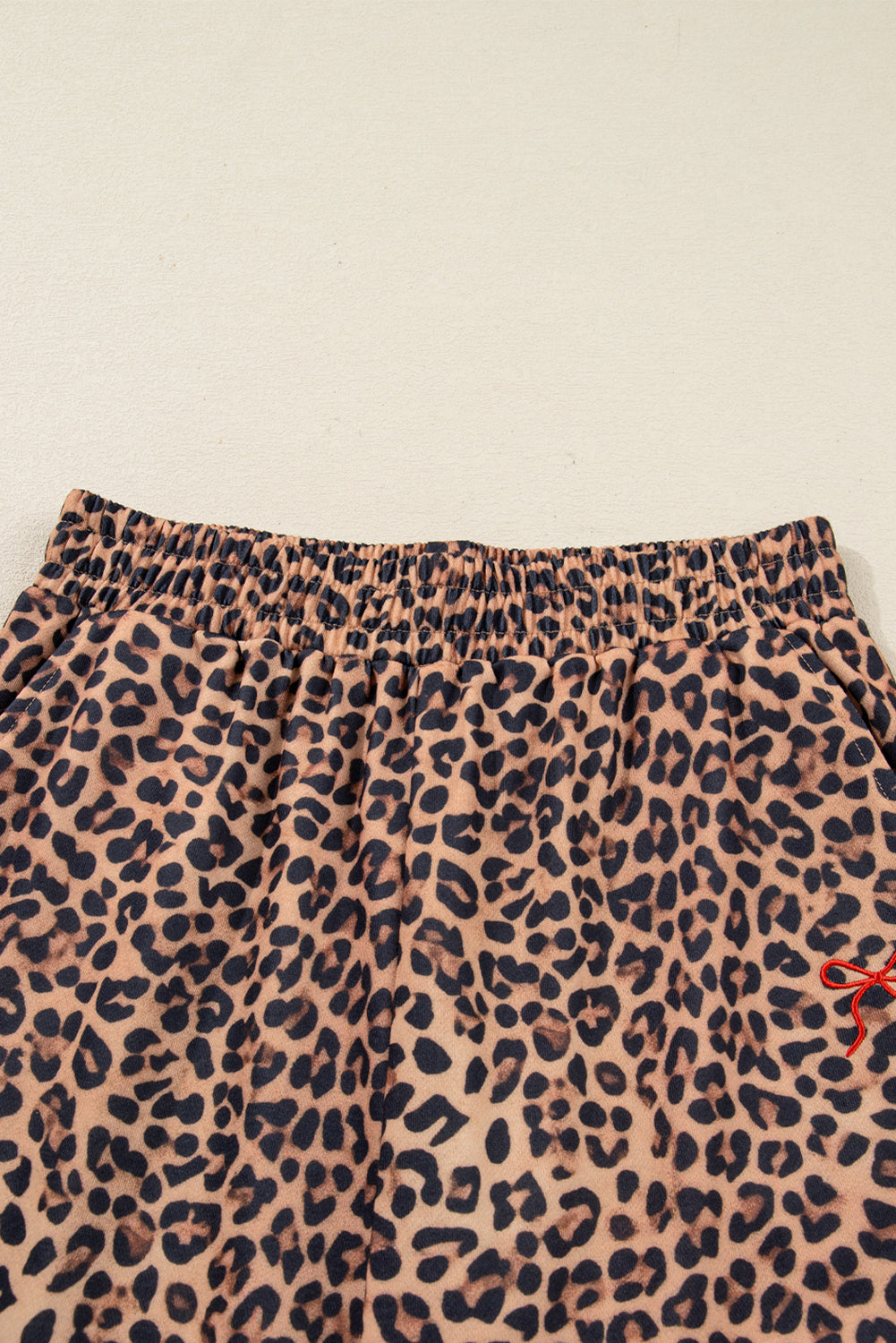 Leopard Pullover and Pants Co-ord Outfit with Bow Embroidery - eAura