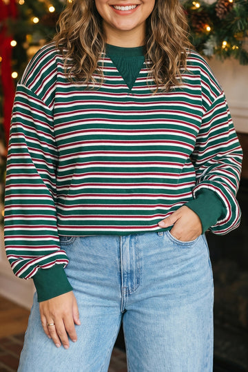 Striped Colorblock Round Neck Long Sleeve Shift Plus Size Sweatshirt – Green Stripe