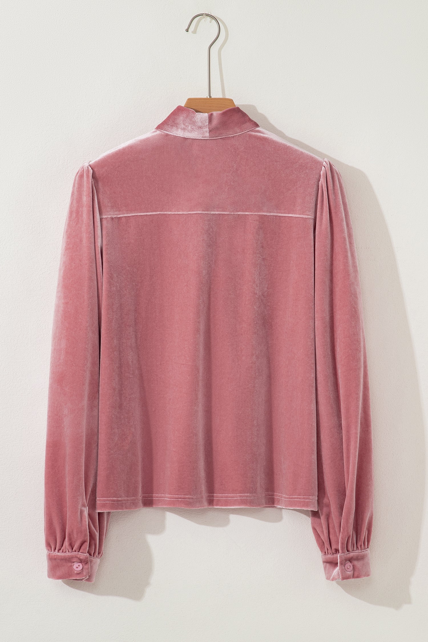 Velvet Ribbon Bow Knot Long Sleeve Blouse - eAura