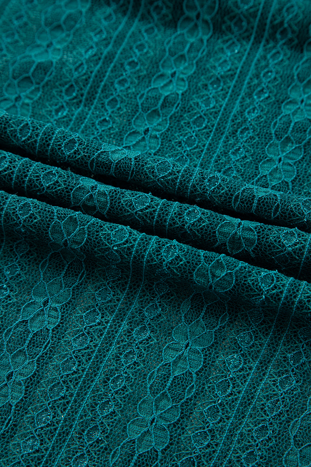 Sheer Lace Balloon Sleeve Babydoll Blouse - eAura