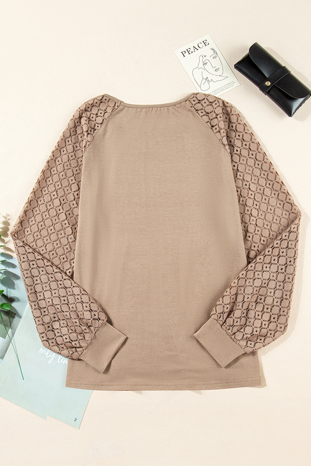 Lace Patchwork Long Raglan Sleeve Pleated Top - eAura