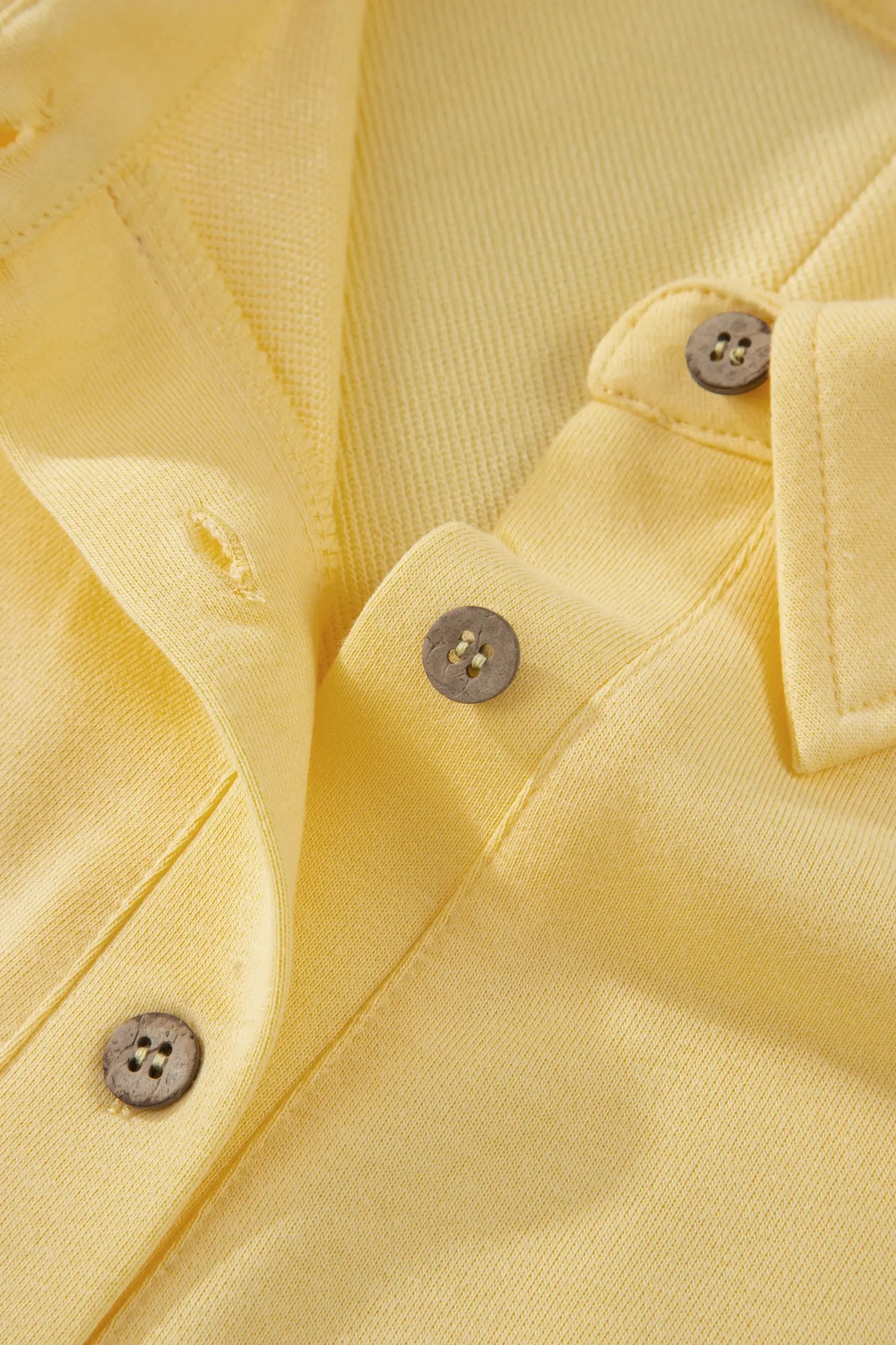 Cream Solid Colour Polo Tee Elastic Waist Shorts Plus Size Outfit – Yellow