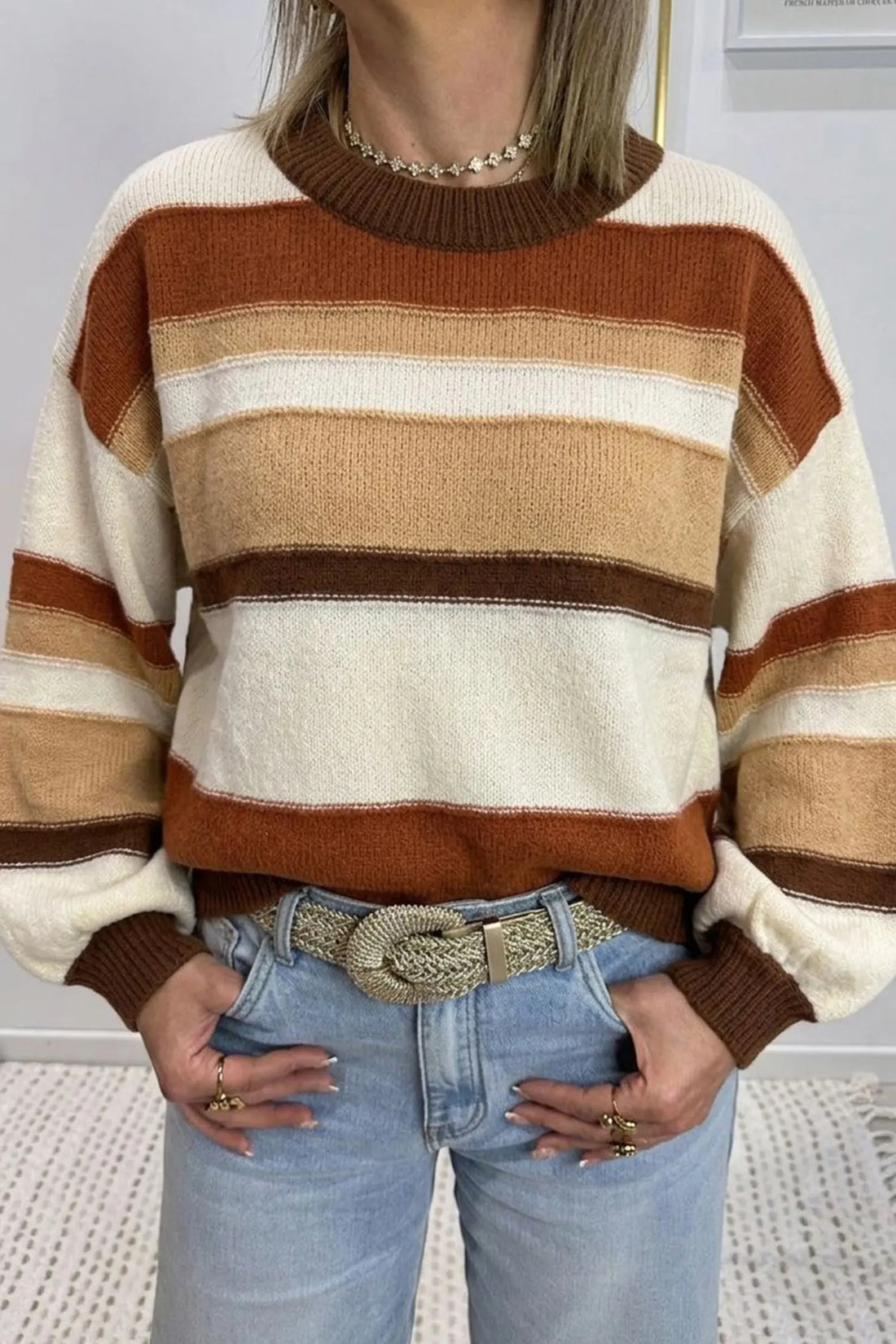 Multicolour striped crew neck long sleeve knit sweater