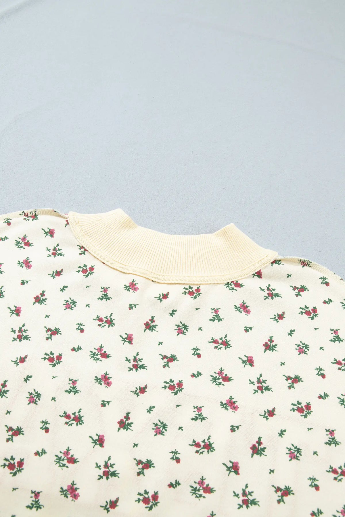 Floral Print Stand Neck Long Sleeve Slogan Sweatshirt – Beige