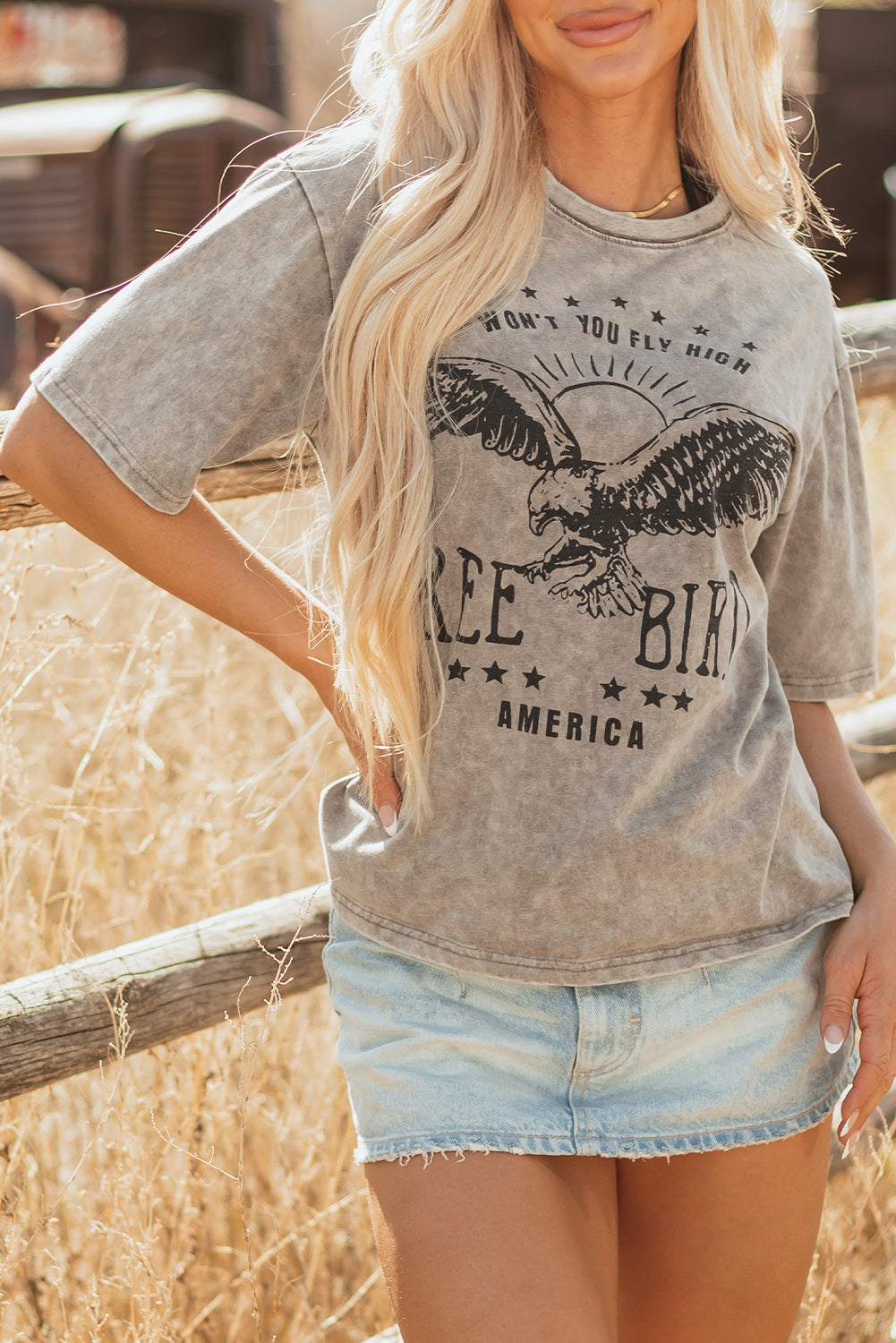 AMERICA FREE BIRD Vintage Graphic Mineral Washed Tee eAura