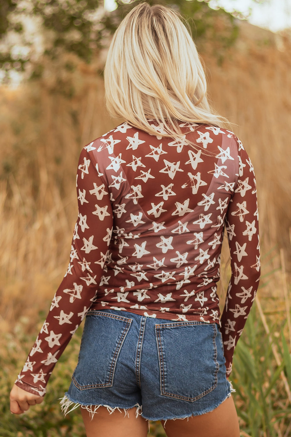 Mesh Star Print Mock Neck Sheath Long Sleeve Top eAura