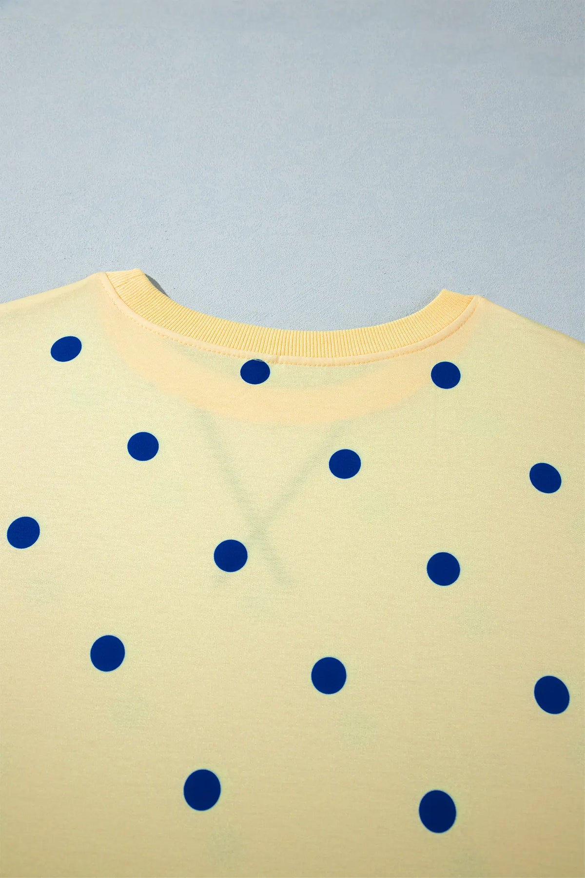 Round Neck Long Sleeve Polka Dot Plus Size Top – Beige