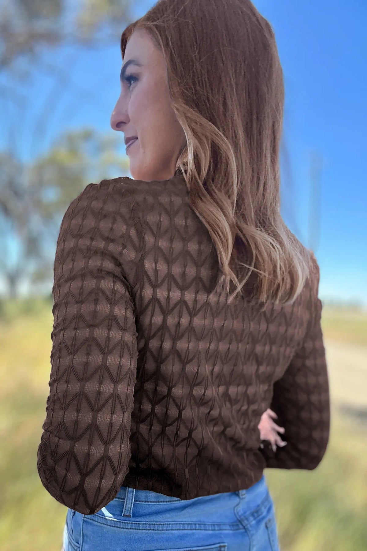 Sheer Textured Lace Stand Neck Long Sleeve Top – Chicory Coffee