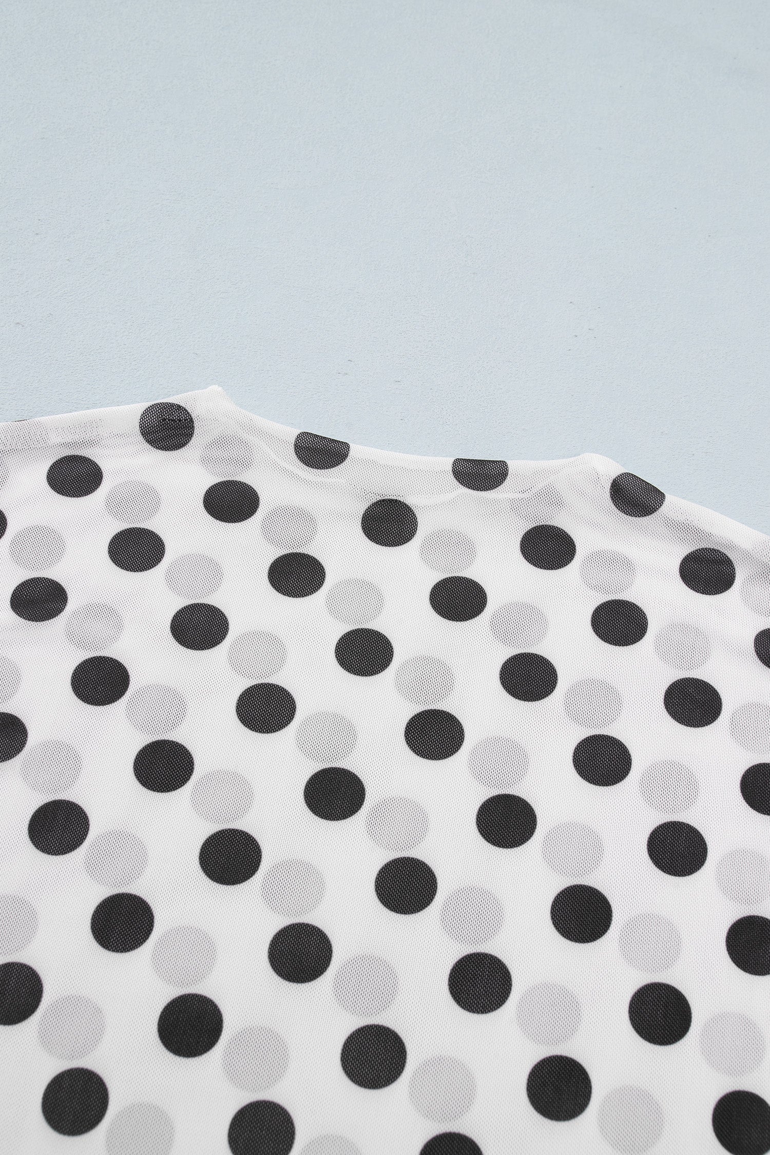 Polka Dot Mesh Long Sleeve Stand Neck Sheath Top – White