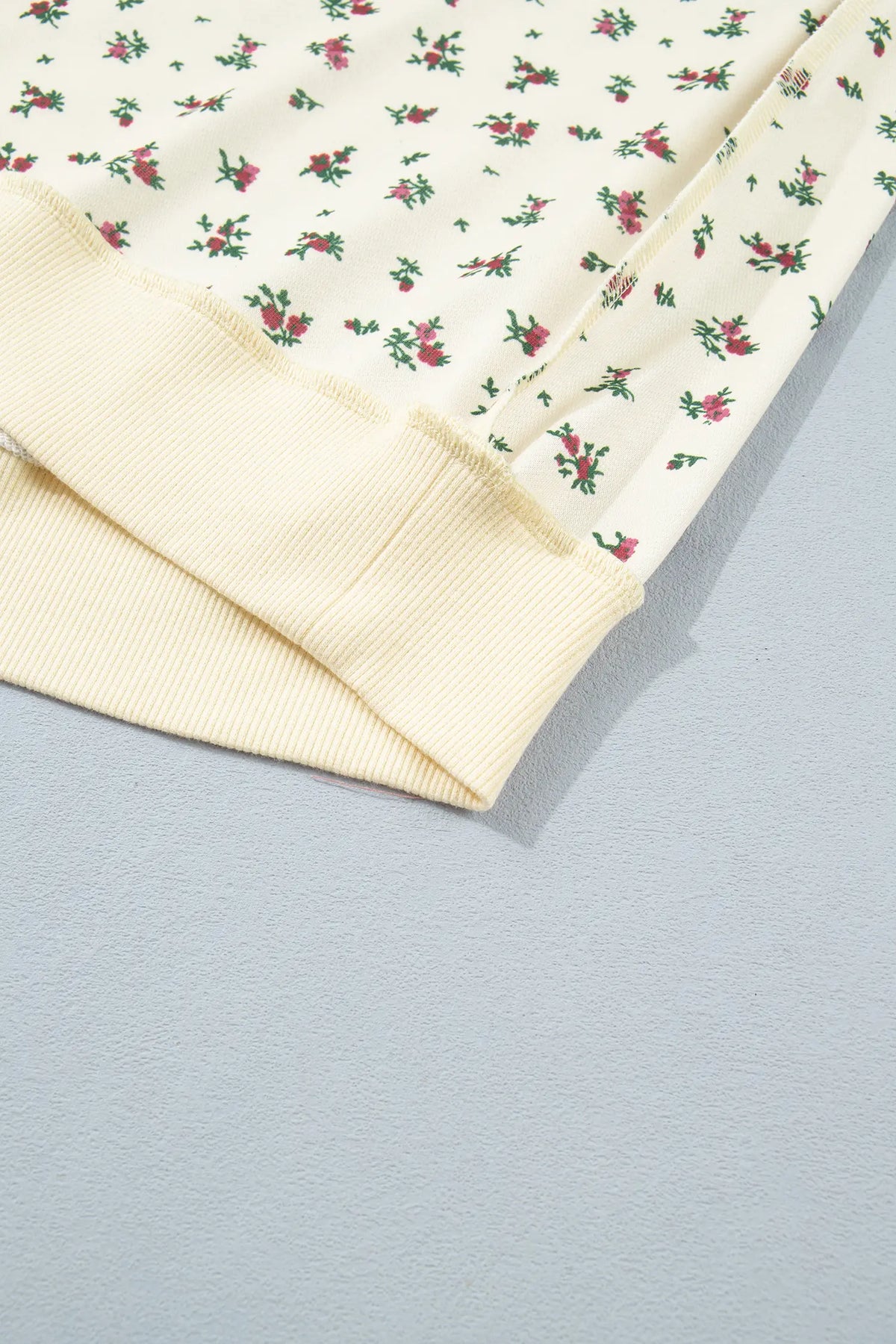 Floral Print Stand Neck Long Sleeve Slogan Sweatshirt – Beige