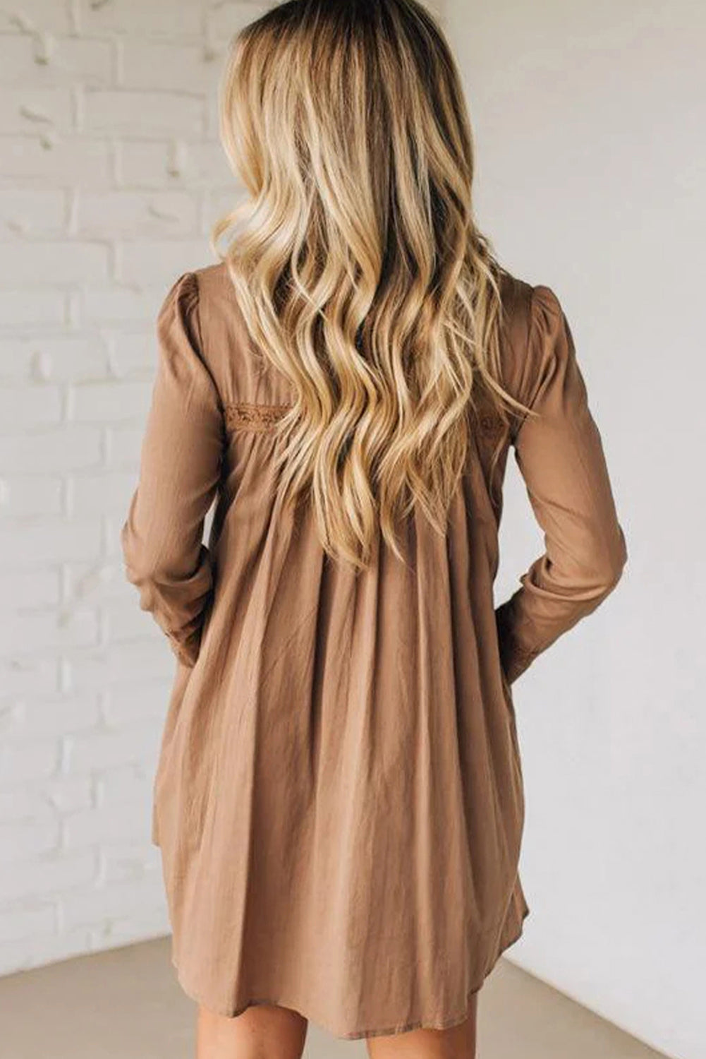 Lace Trim Peter Pan Collar Long Sleeve Mini Shirt Dress - eAura
